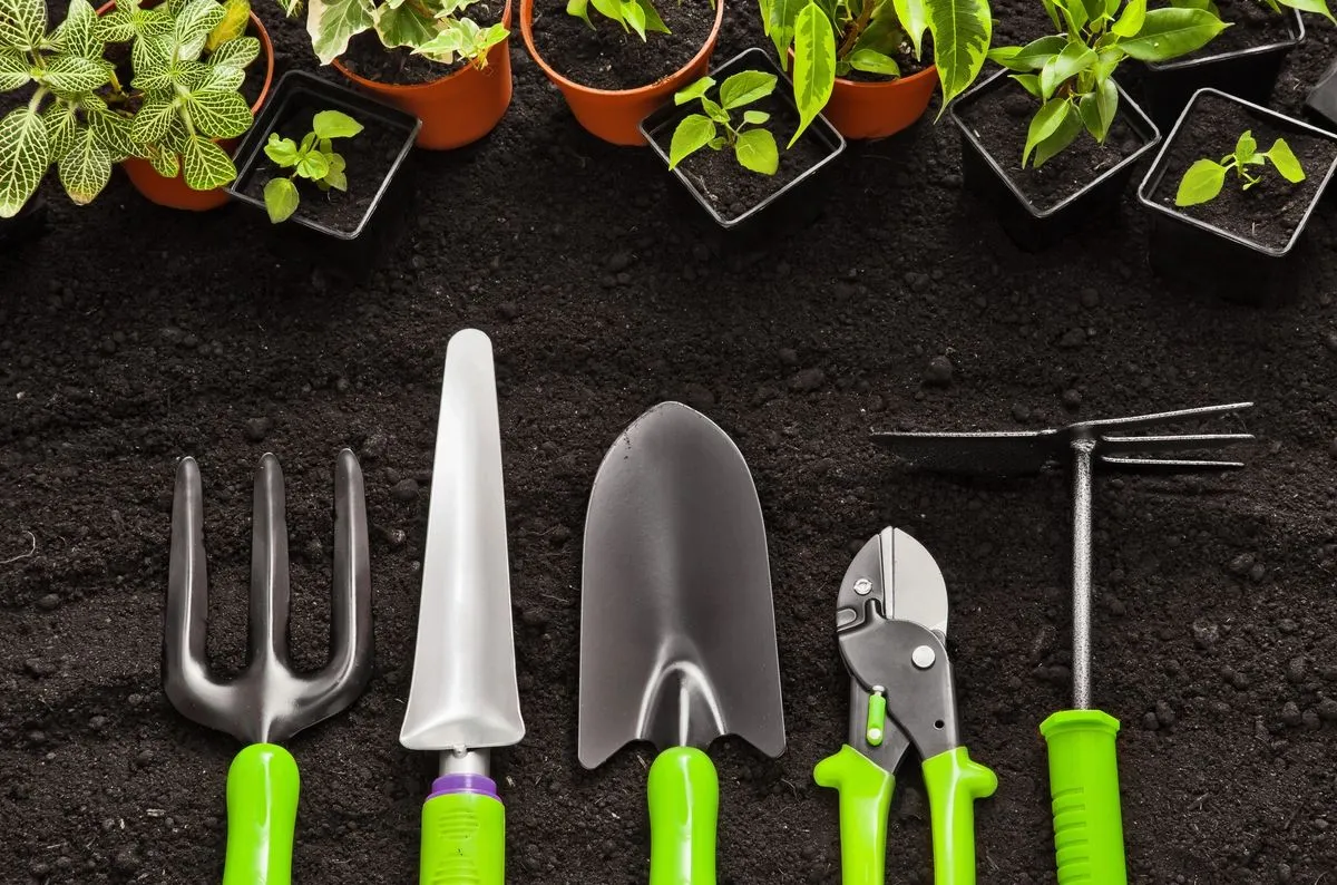 Green garden plants ready to grow
